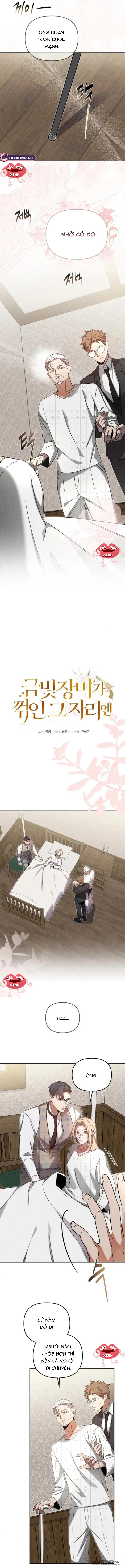 Nơi Đóa Hồng Vàng Úa Tàn Chap 11 - trang 3