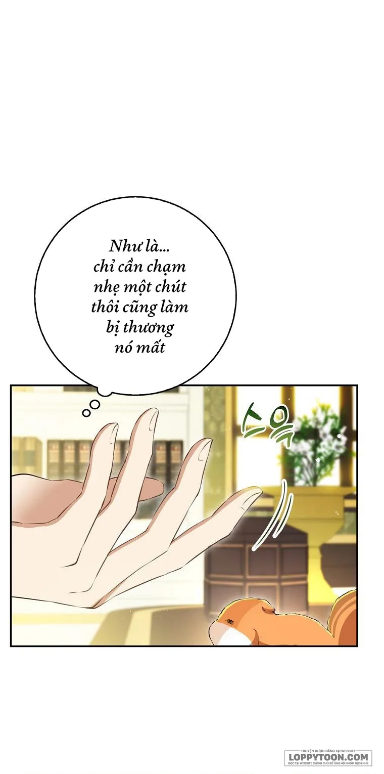 Sóc Con Tài Năng Chap 43 - trang 29