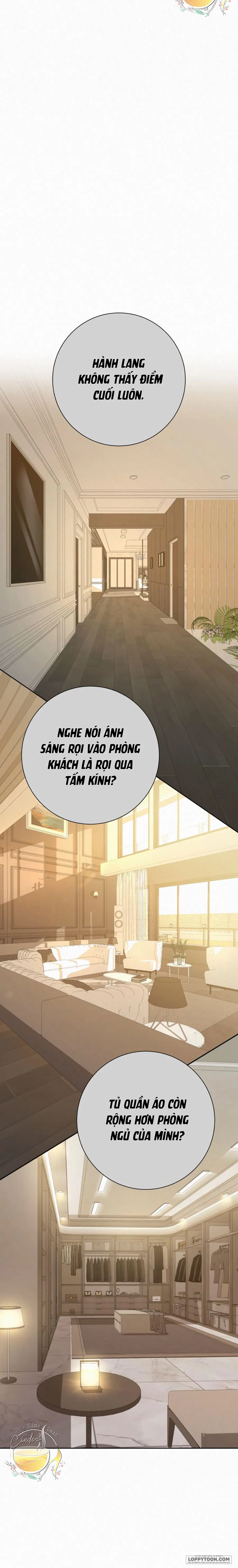 Chiến Lược Tình Yêu Trong Sáng Chap 79 - trang 27