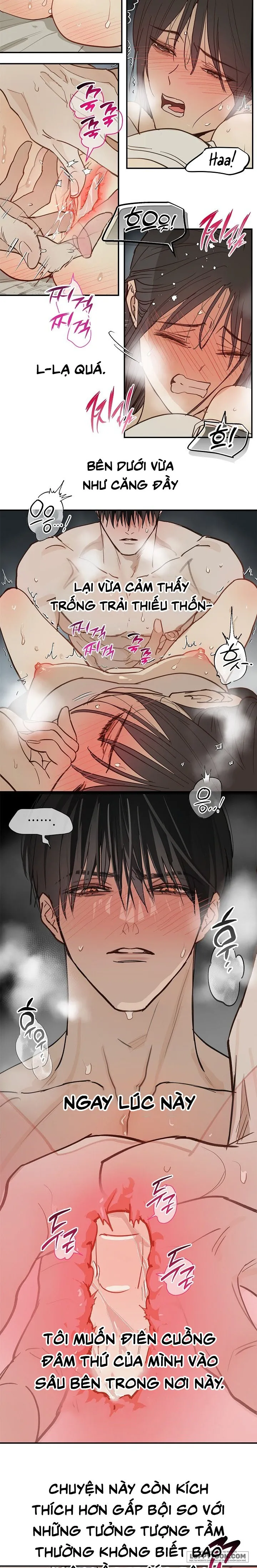 [KHÔNG CHE] Đóa Hoa Là Mồi Nhử Chap 48 - 🔞🔞 - trang 14