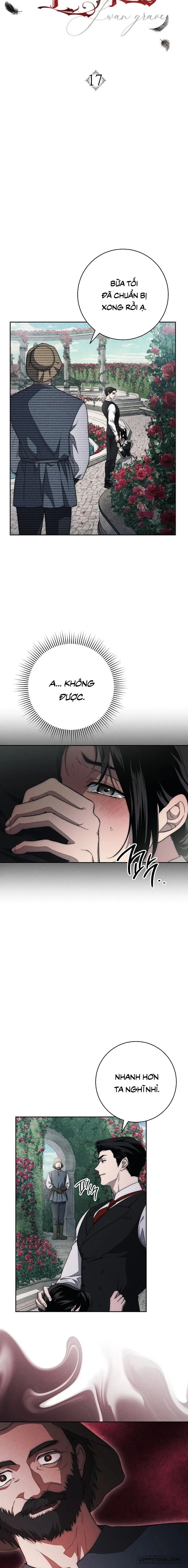 Mộ Thiên Nga Chap 17 - 🔞🔞🔞 - trang 7