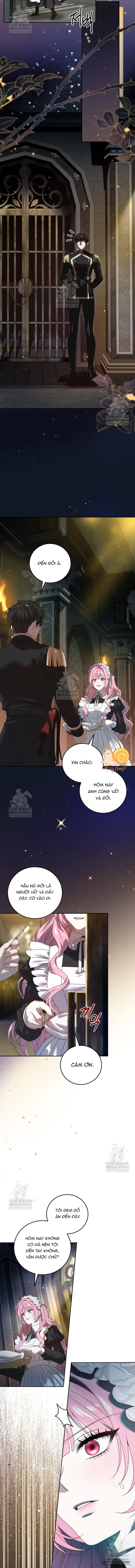 Kẻ Ám Ảnh Cuồng Tín Đang Cố Giam Cầm Tôi Chap 5 - trang 13