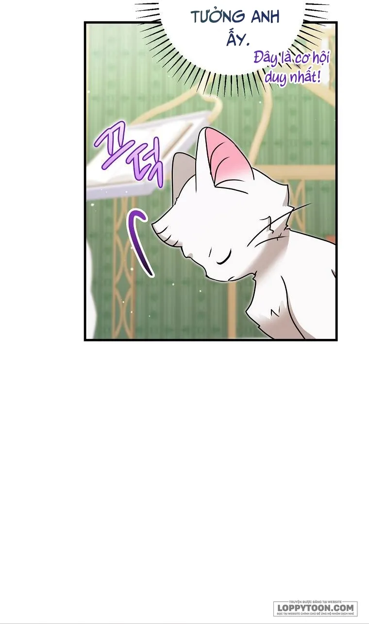 Trở Thành Miêu Nữ Của Hoàng Đế Chap 17 - trang 43