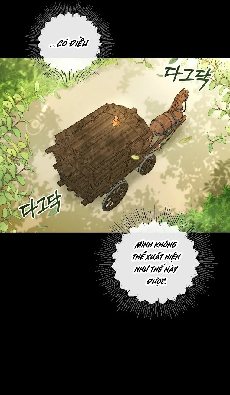 Sóc Con Tài Năng Chap 3 - trang 16