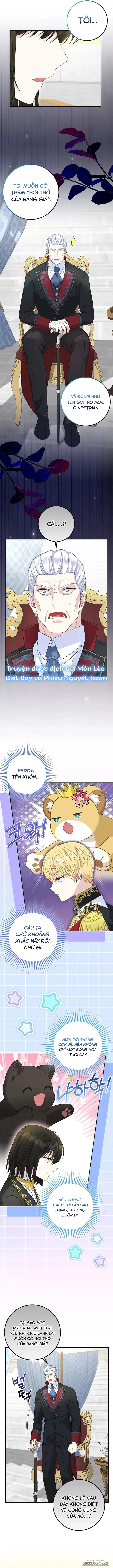 Tiểu Thư Báo Tuyết Của Gia Tộc Báo Đen Chap 35 - trang 9