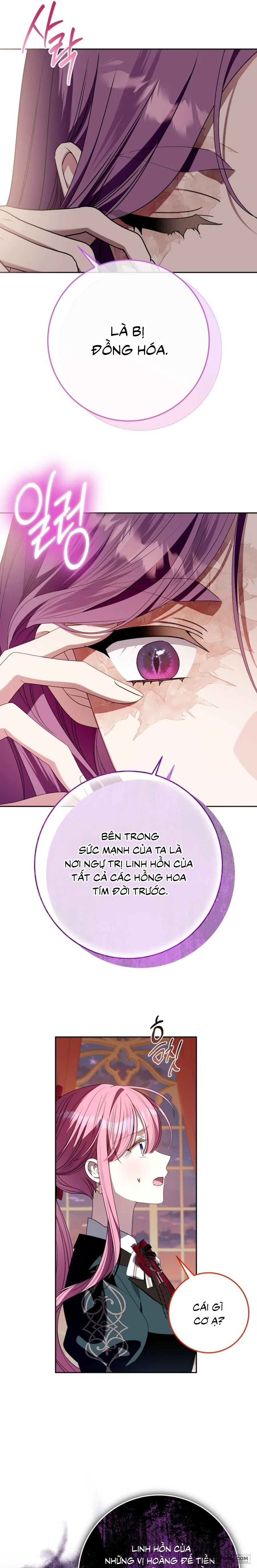 Tôi Gặp Nam Chính Trong Tù Chap 96 - trang 29