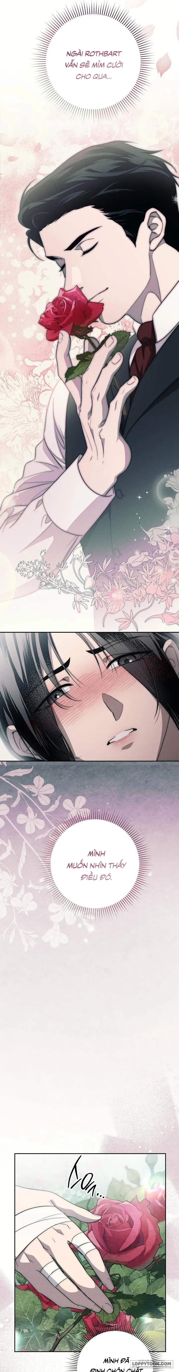 Mộ Thiên Nga Chap 22 - trang 25