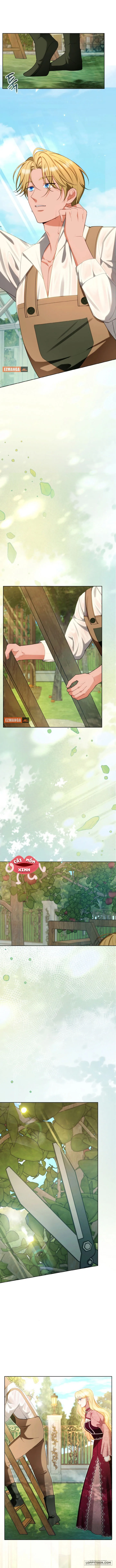 Khi Người Chồng Cũ Của Tôi Đòi Tái Hợp Chap 12 - trang 9