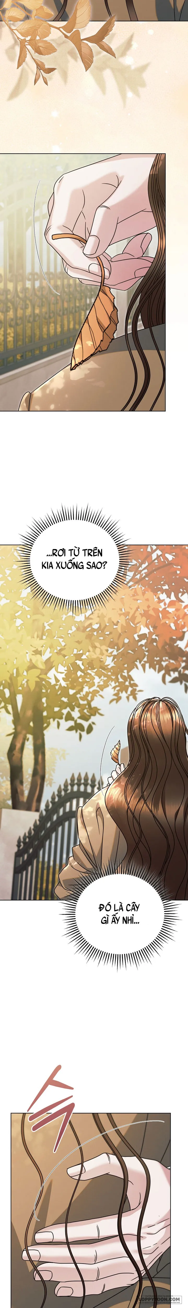 Hãy Cầu Xin Tôi Đi Chap 85 - trang 24