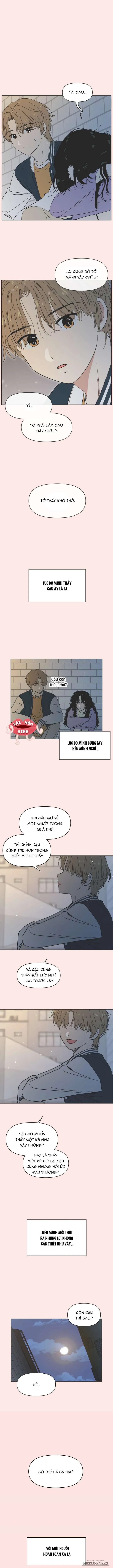 Thanh Xuân Ngọt Ngào Chap 26 - trang 1