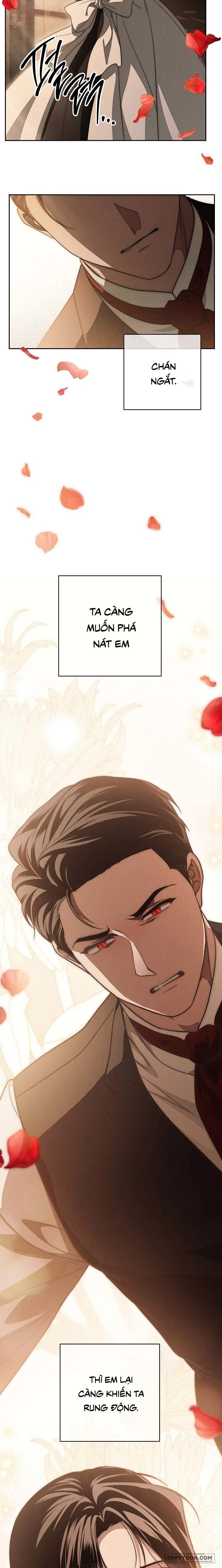 Mộ Thiên Nga Chap 24 - trang 22