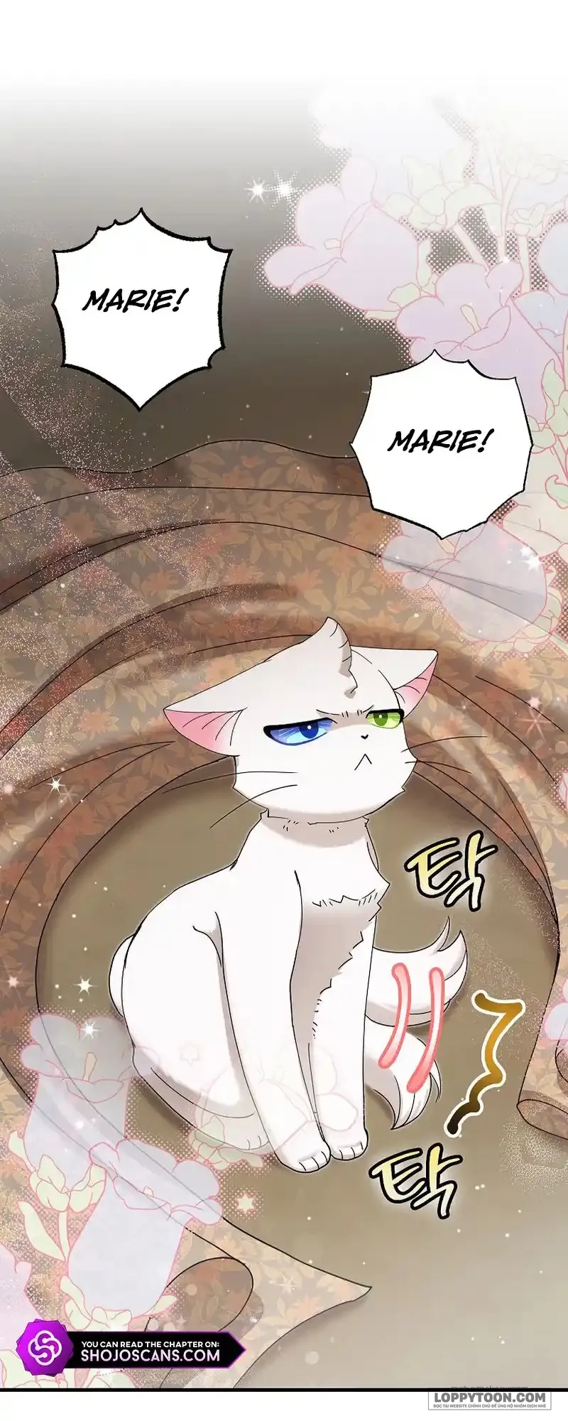 Trở Thành Miêu Nữ Của Hoàng Đế Chap 25 - trang 12