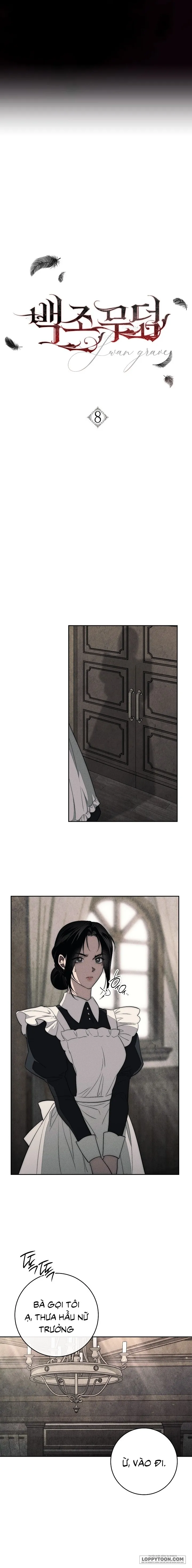 Mộ Thiên Nga Chap 8 - trang 12