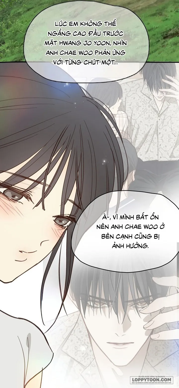 Đóa Hoa Là Mồi Nhử Chap 55 - trang 41