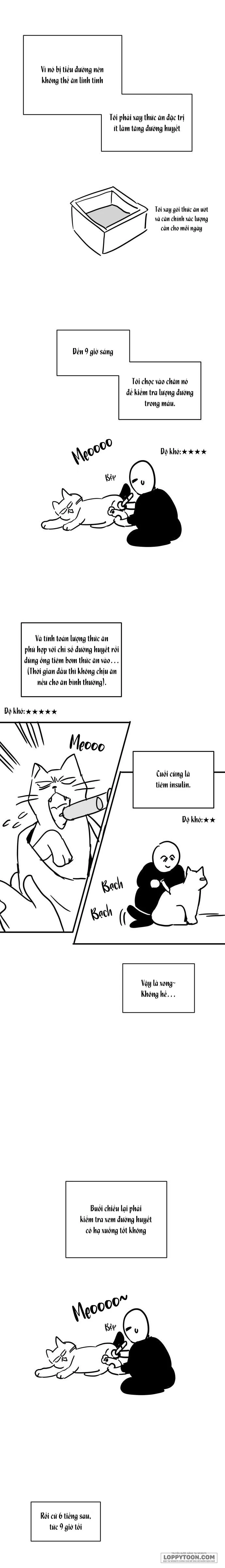 Người Một Nhà Chap 101.1 - Tập đặc biệt - trang 12