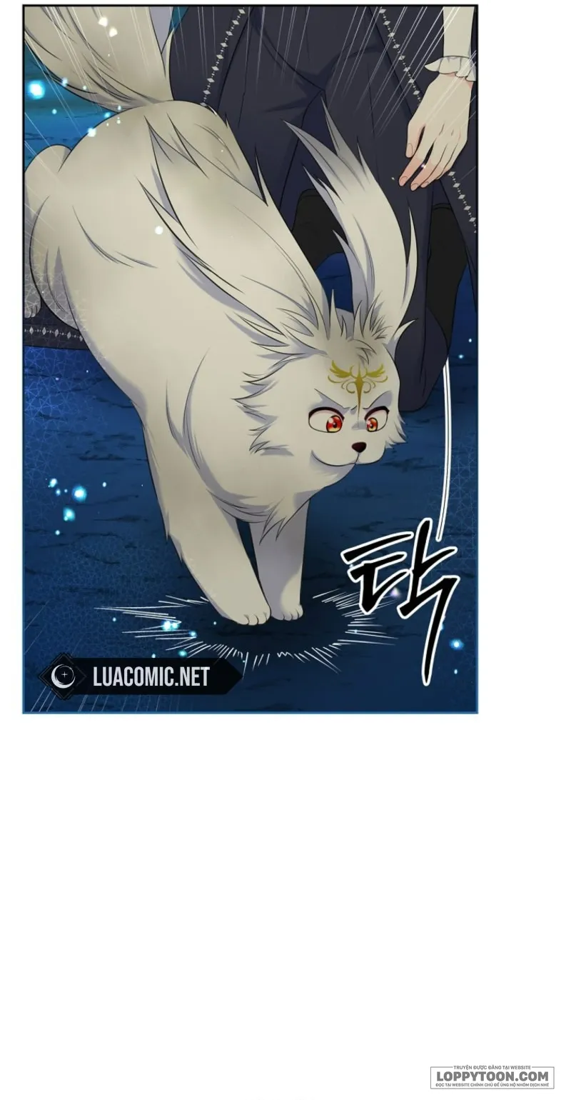 Tôi Sẽ Ly Hôn Với Anh Trai Nữ Chính Chap 76 - trang 22