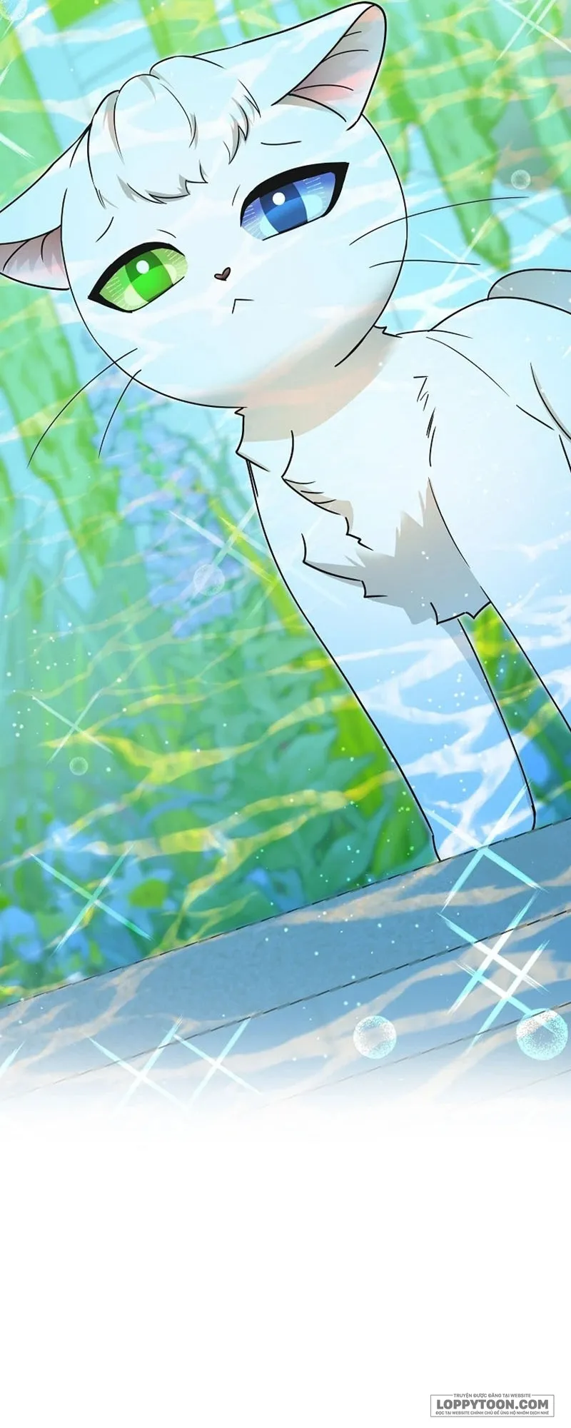 Trở Thành Miêu Nữ Của Hoàng Đế Chap 84 - end ngoại truyện - trang 23