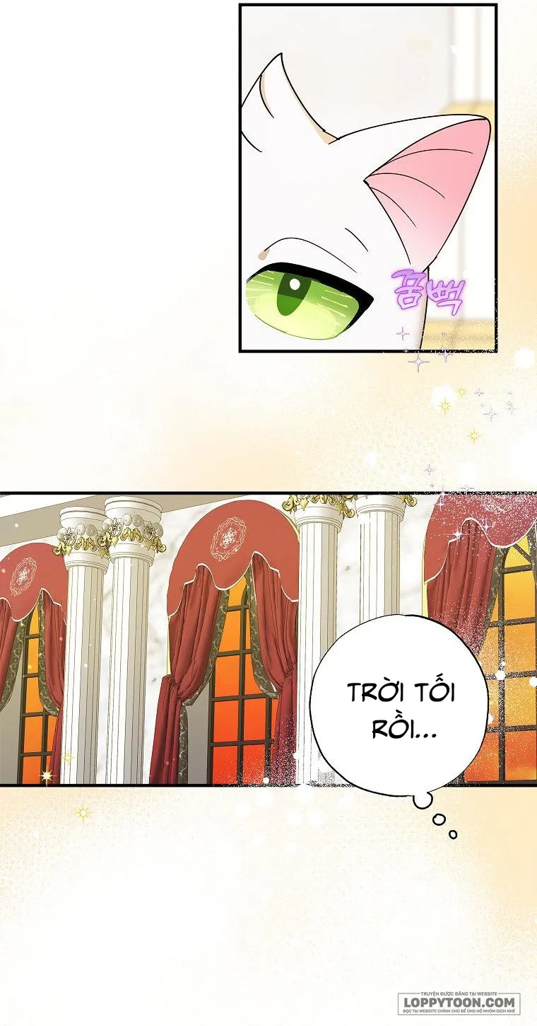 Trở Thành Miêu Nữ Của Hoàng Đế Chap 2 - trang 27