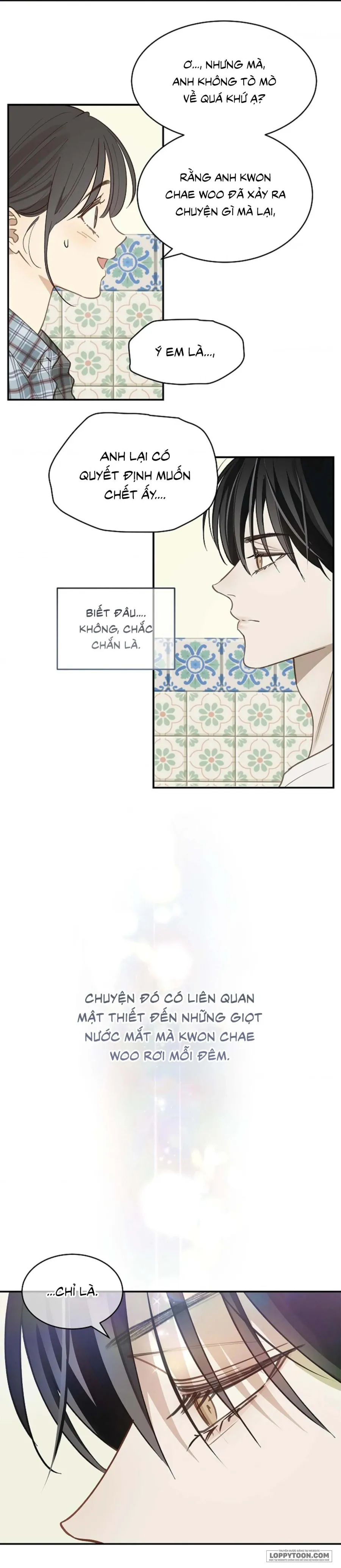 [KHÔNG CHE] Đóa Hoa Là Mồi Nhử Chap 24 - trang 13