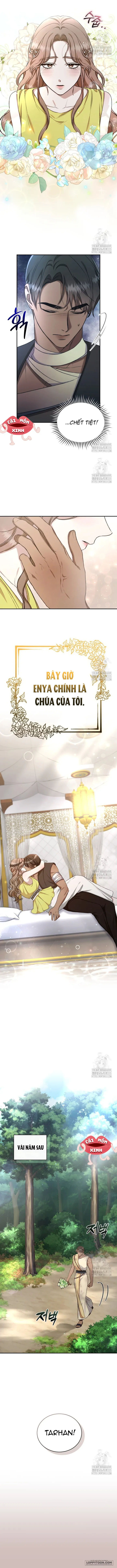Khu Rừng Hoang Dã Chap 27 - trang 11