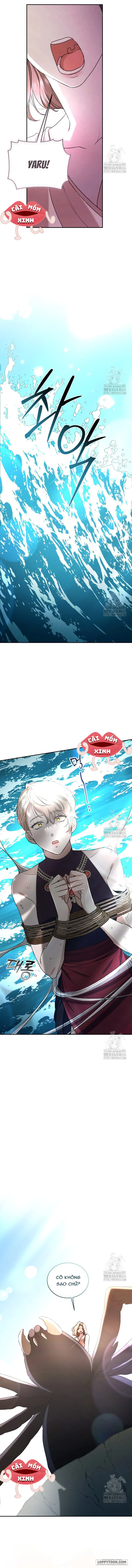 Khu Rừng Hoang Dã Chap 48 - trang 15