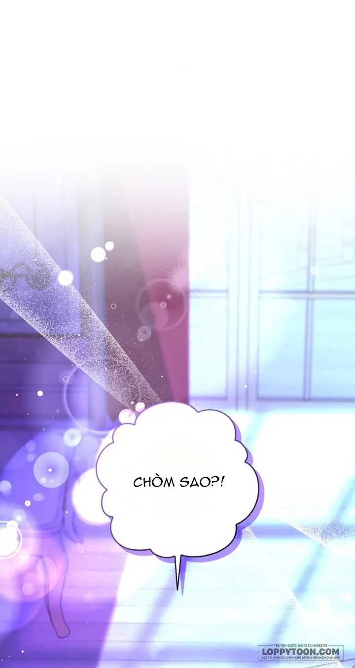 Sóc Con Tài Năng Chap 74 - trang 1