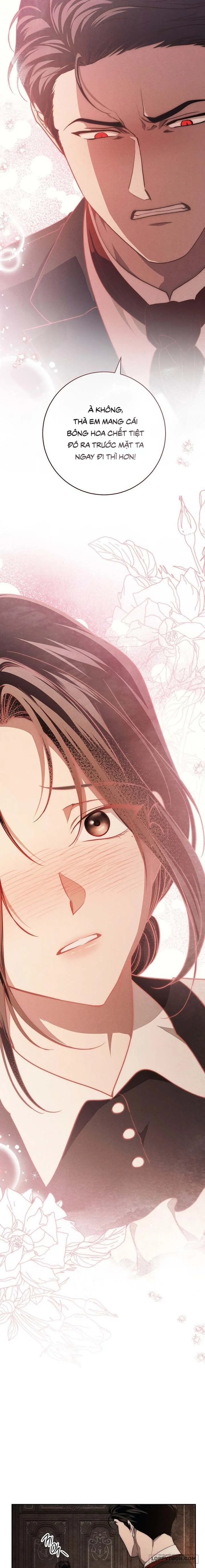 Mộ Thiên Nga Chap 24 - trang 15