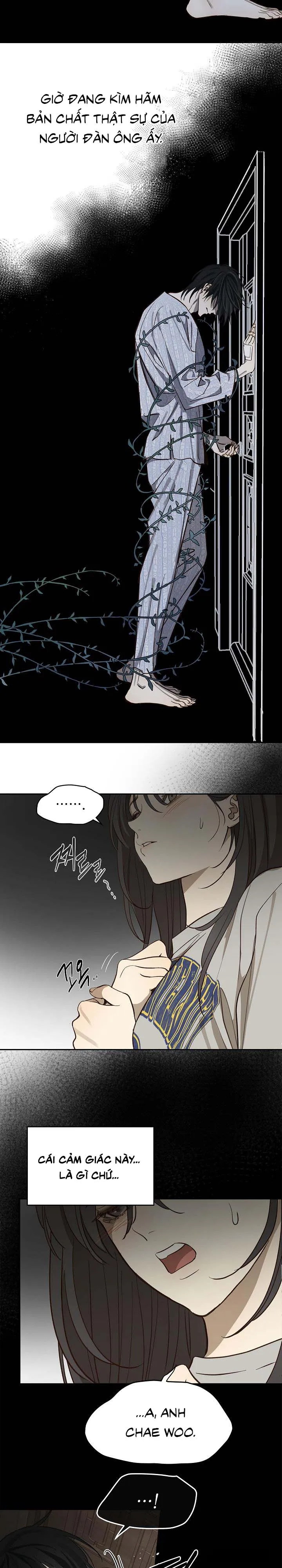 Đóa Hoa Là Mồi Nhử Chap 8 - trang 18