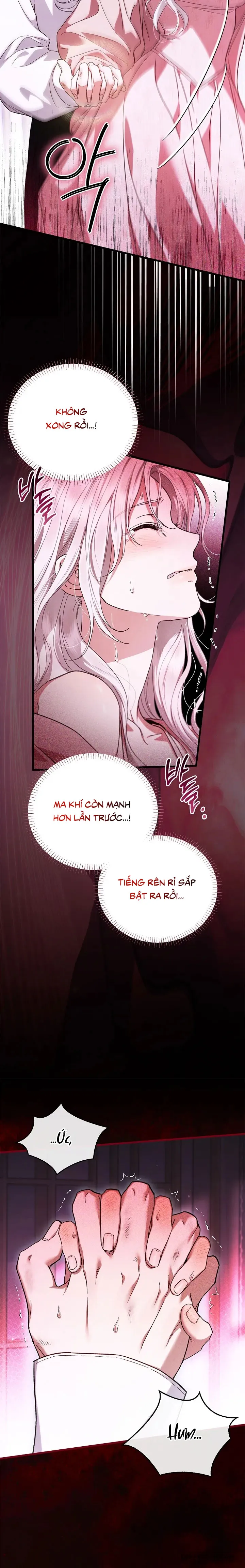 Nhưng Rõ Ràng Chồng Tôi Là Thánh Kỵ Sĩ Mà? Chap 23 - trang 18