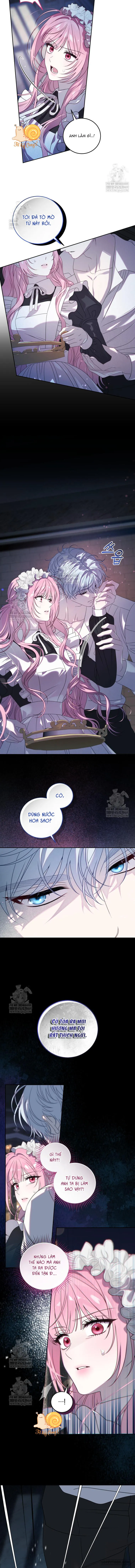Kẻ Ám Ảnh Cuồng Tín Đang Cố Giam Cầm Tôi Chap 2 - trang 12