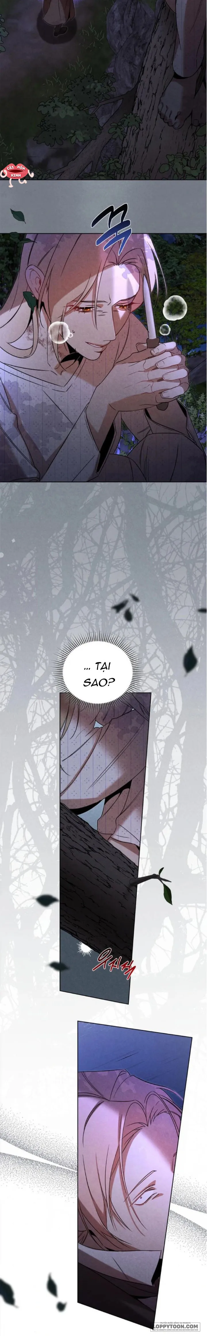 Nơi Đóa Hồng Vàng Úa Tàn Chap 21 - trang 24