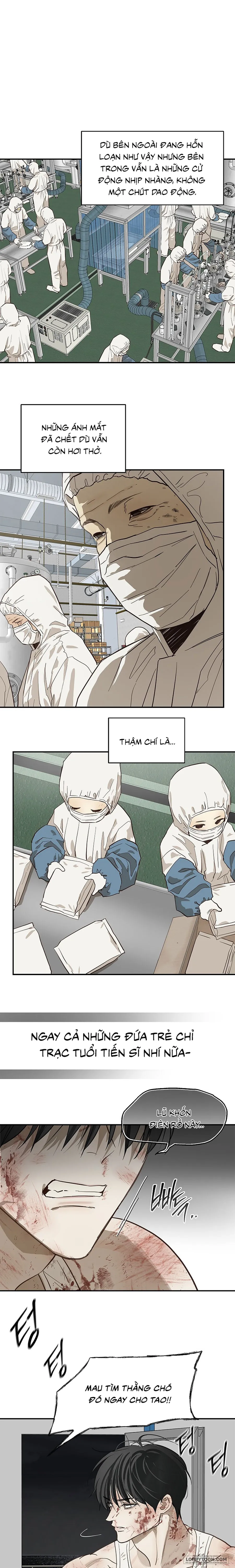 Đóa Hoa Là Mồi Nhử Chap 43 - trang 13