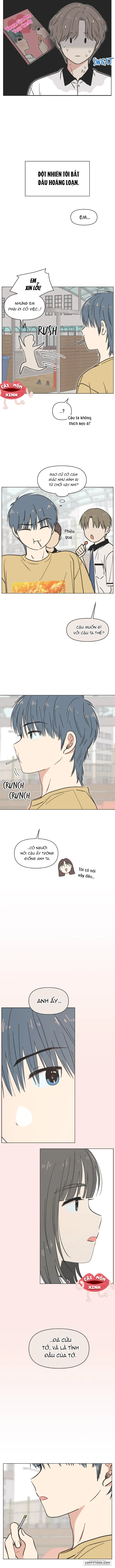 Thanh Xuân Ngọt Ngào Chap 28 - trang 3