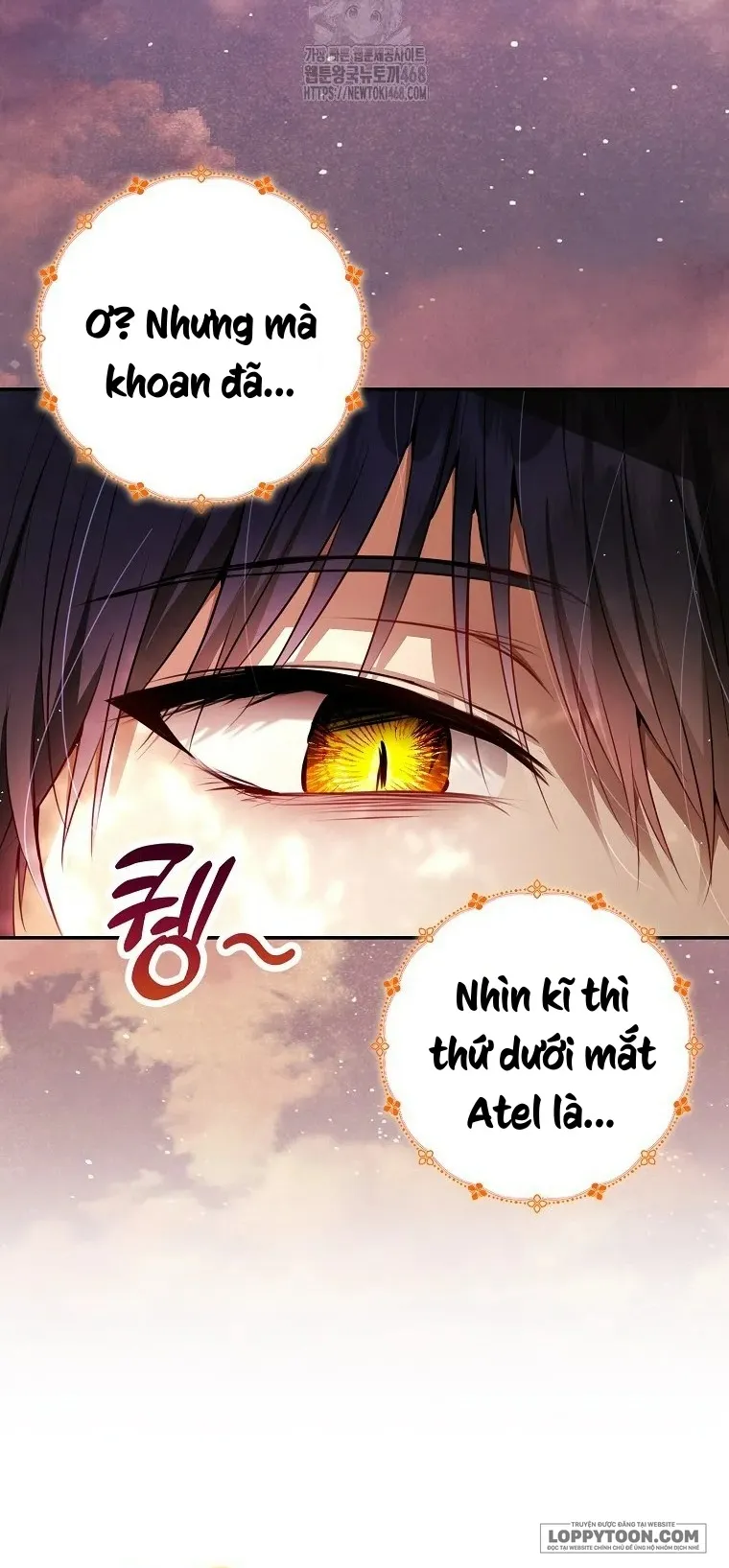 Sóc Con Tài Năng Chap 113 - trang 7