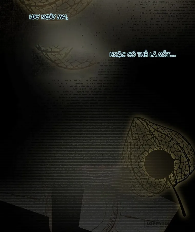 Tìm Một Người Chồng Mới Chap 4 - trang 38