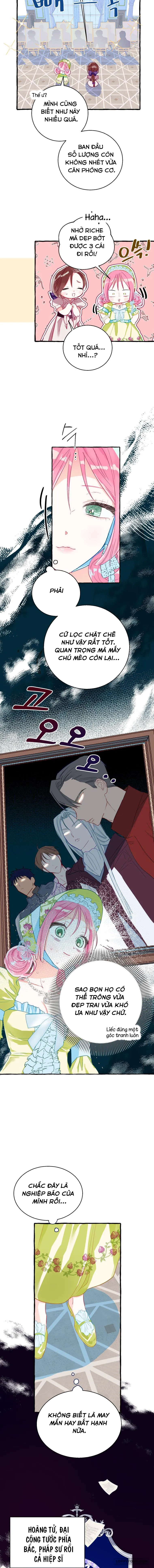 Bạn Sẽ Chết Nếu Không Biết Luật Tiểu Thuyết Chap 2 - trang 13