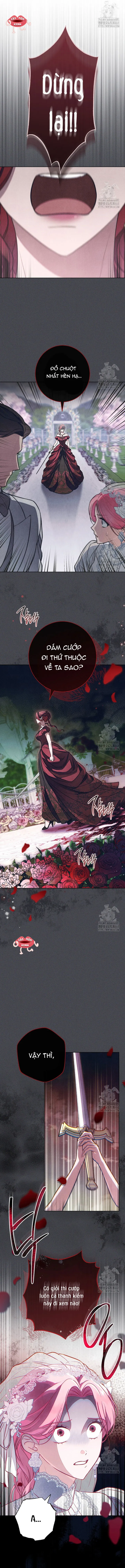 Nỗi Ám Ảnh Dành Cho Công Tước Phu Nhân Chap 17 - trang 2