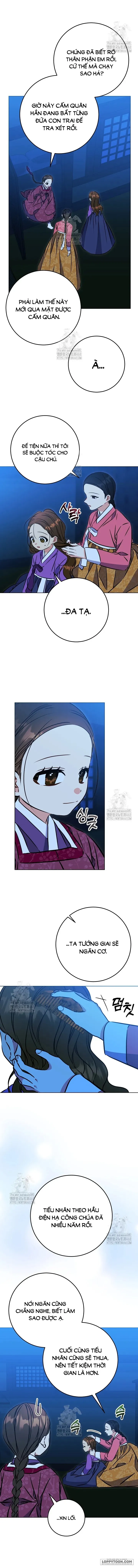 Tôi Sinh Ra Là Con Gái Của Một Cung Phi Hèn Mọn Chap 42 - trang 5