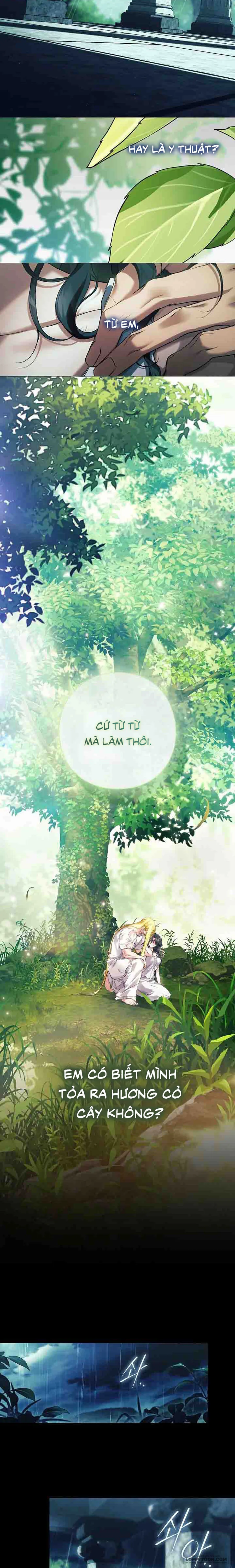 Dành Cho Các Nữ Thần: Dành Cho Daphne Chap 36 - trang 15