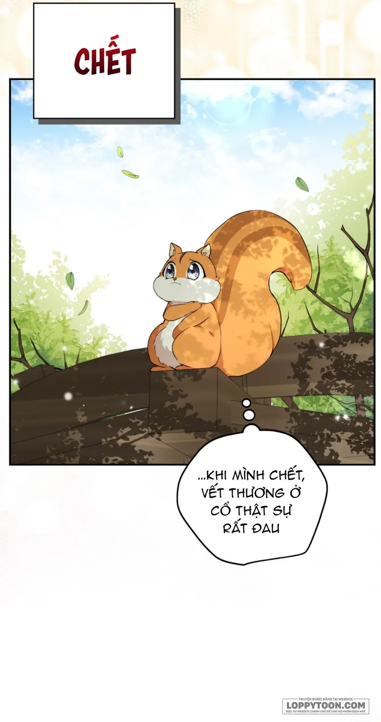 Sóc Con Tài Năng Chap 2 - trang 66