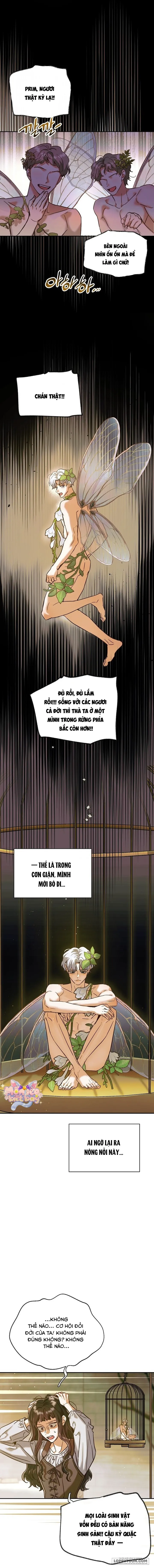 Nếu Nam Chính Nhỏ Thì Có Hơi Rắc Rối Phải Không? Chap 2 - trang 13