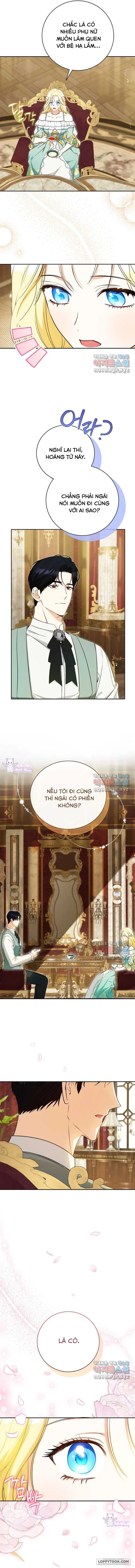 Hình Như Tôi Đã Xuyên Vào Cuốn Tiểu Thuyết Nào Đó Chap 28 - trang 13