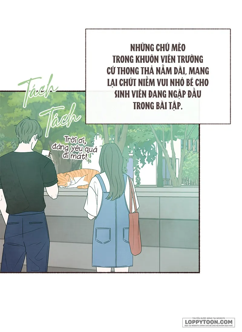 Cảm Xúc Chuyển Giao Chap 25 - trang 29