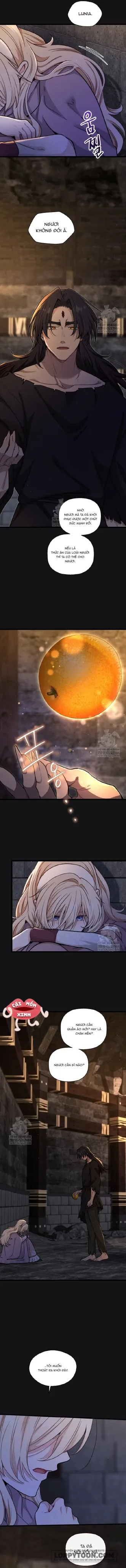 Bệ Hạ, Xin Hãy Quên Tôi Đi Chap 50 - Không có chap 49 - trang 8