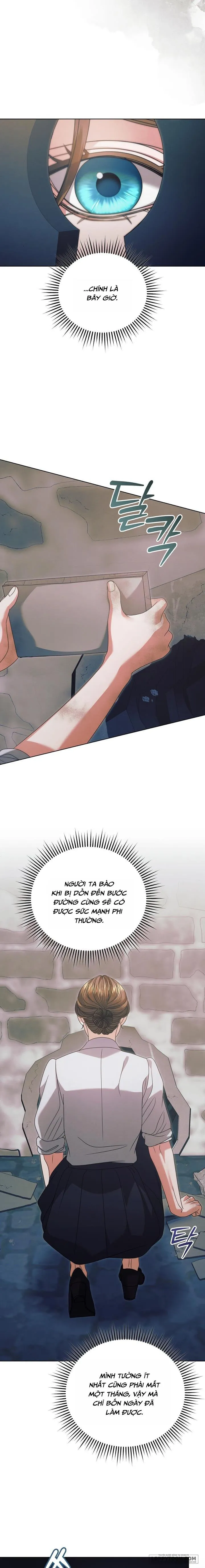Hãy Cầu Xin Tôi Đi Chap 49 - trang 12