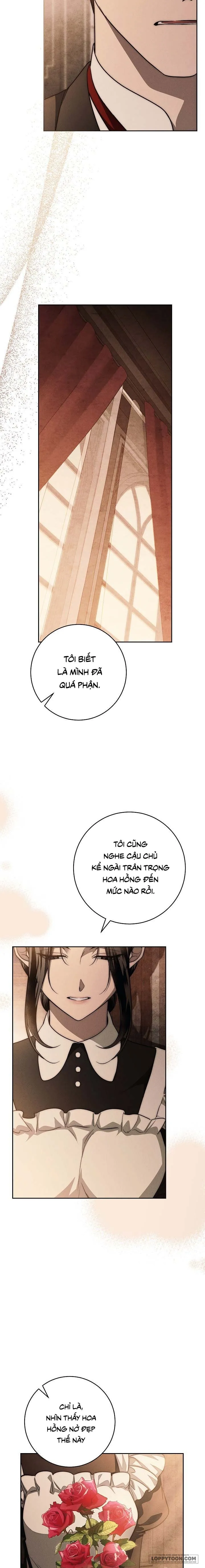 Mộ Thiên Nga Chap 24 - trang 17