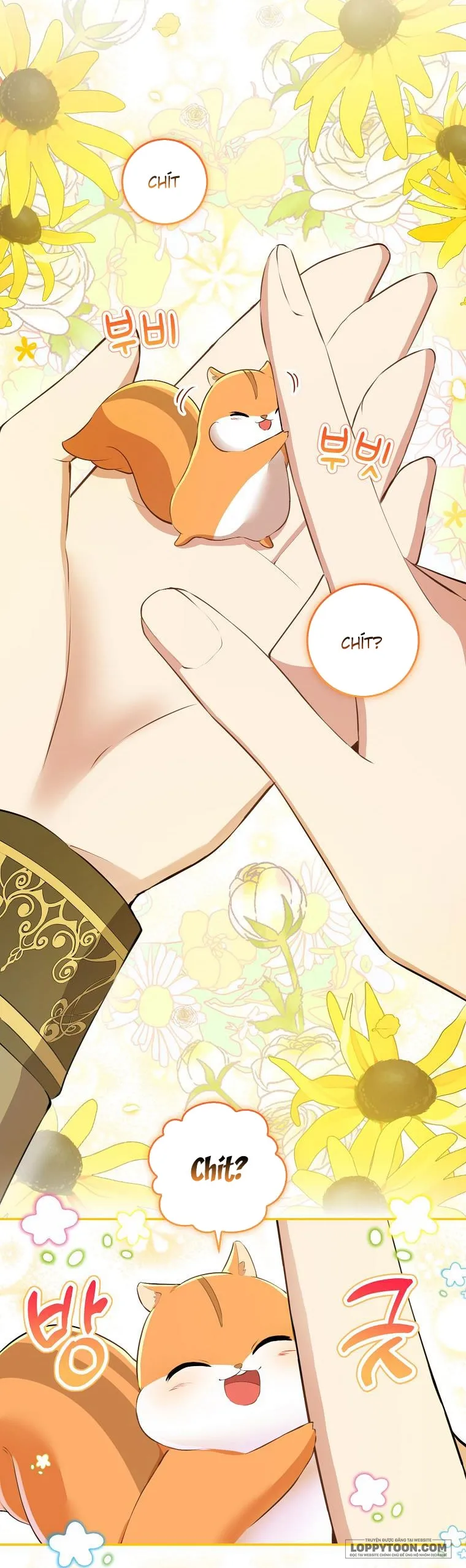 Sóc Con Tài Năng Chap 43 - trang 40