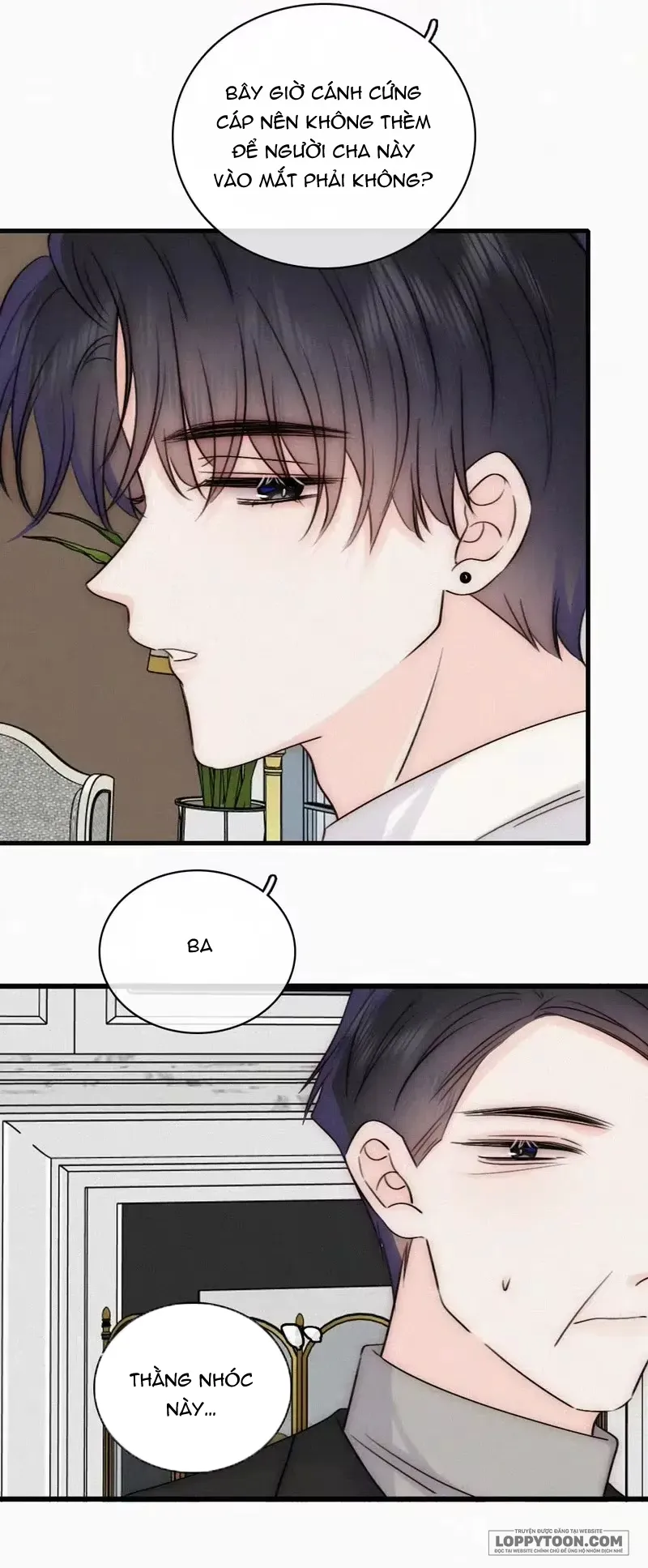 Một Lòng Cưng Chiều Chap 188 - trang 11