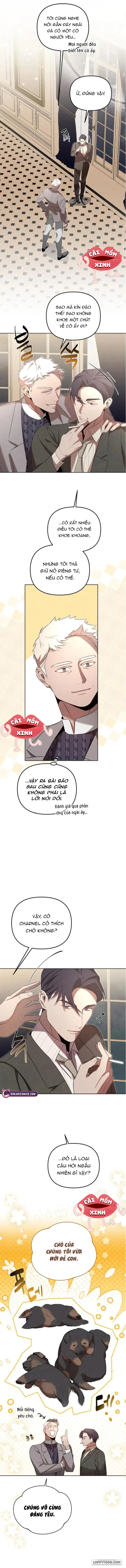 Nơi Đóa Hồng Vàng Úa Tàn Chap 13 - trang 10