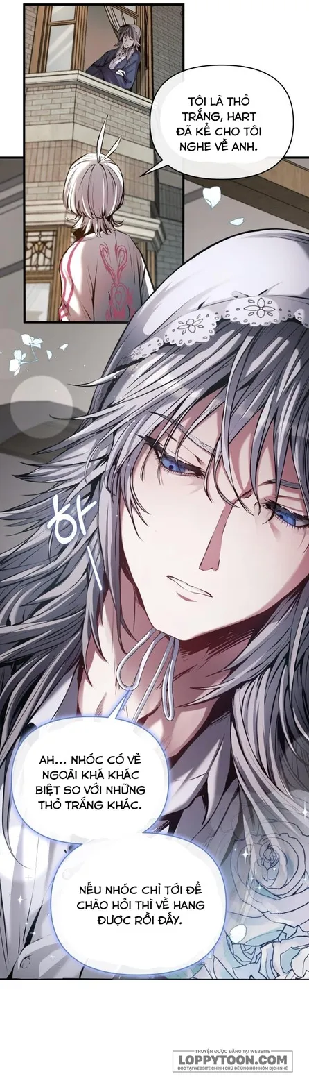 Thỏ Trắng Ở Xứ Sở Thần Tiên Chap 3 - trang 23